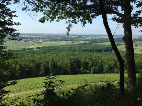 MTB Runde: Eichelberg - Sauberg - Knittlingen