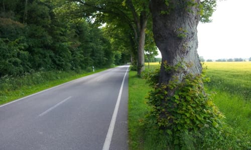 Recknitztal-Rundweg: Ribnitz Damgarten - Tribsees