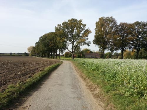 Kleine Zechenbahnrunde Oer-Erkenschwick