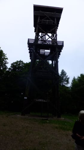 Rumbecker Berg und Ludwigsturm