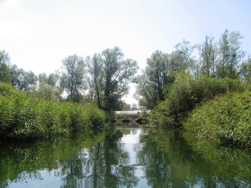 Bootstour: Von Leutstetten würmaufwärts in den Starnberger See