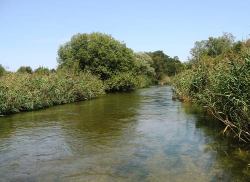 Bootstour: Von Leutstetten würmaufwärts in den Starnberger See