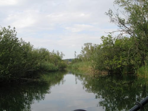 Bootstour: Von Leutstetten würmaufwärts in den Starnberger See