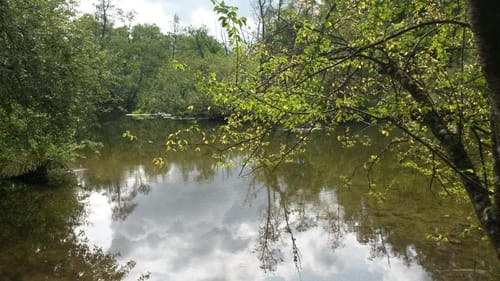 Bootstour: Von Leutstetten würmaufwärts in den Starnberger See
