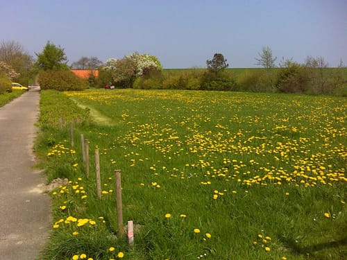 Rundweg Schillig - Alte Schmiede
