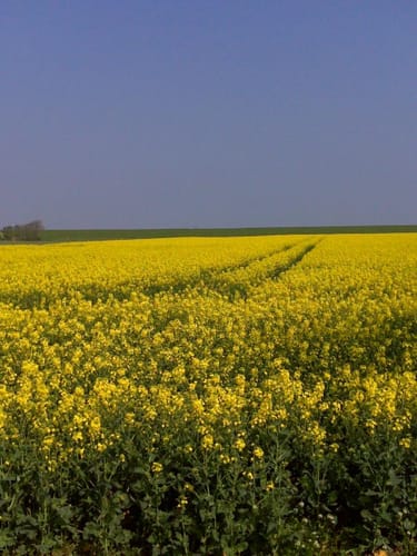 Rundweg Schillig - Alte Schmiede