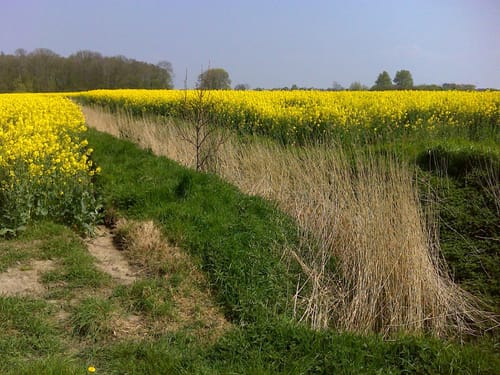 Rundweg Schillig - Alte Schmiede