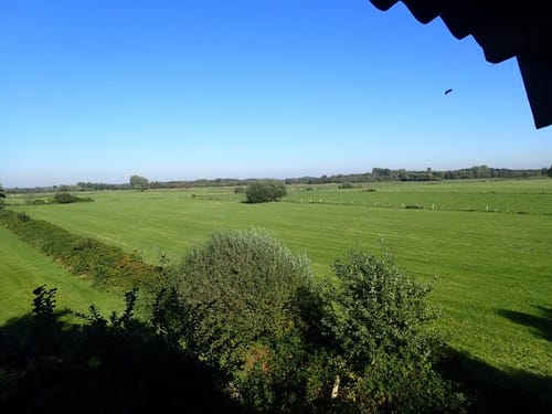 Wabe 56 Vreden