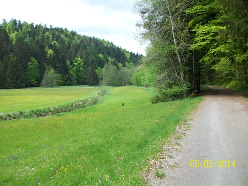 Fischhaus - Saldenburg - Obere Ilz