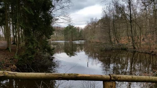 Kalstert nach Sandheide