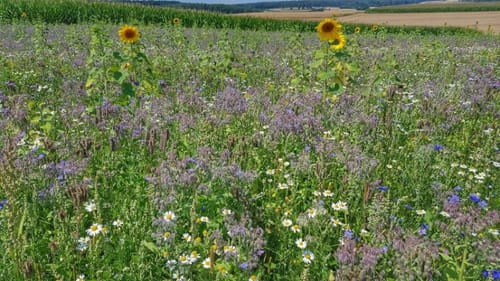 Kraichgau-Stromberg 1 Brunnentour
