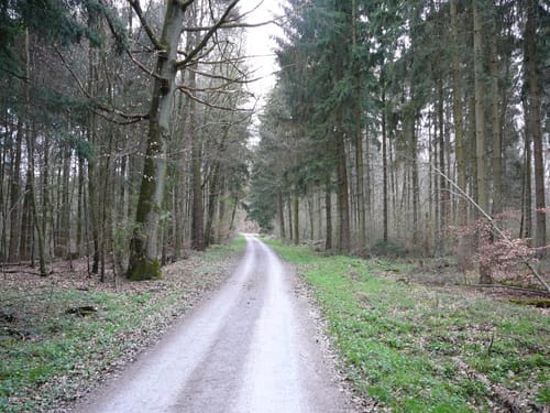 WT9 Panoramaweg