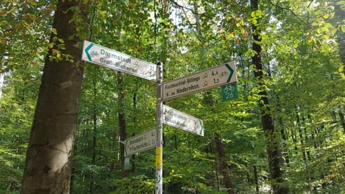 Rundstrecke Fischbachtal (Fi1)