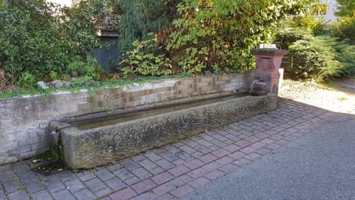 Rundstrecke Fischbachtal (Fi1)