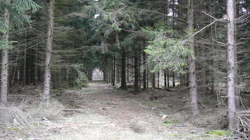 Untersteinbach nach Obersteinbach