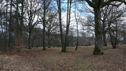 Untersteinbach nach Obersteinbach