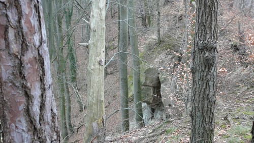 Untersteinbach nach Obersteinbach