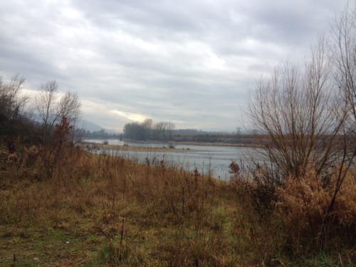 Rheinuferweg: Koblenz - Laufenburg