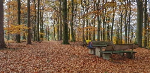 Schöllkrippen 2: Streifzug durch die Erdgeschichte