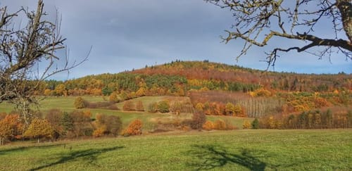 Schöllkrippen 2: Streifzug durch die Erdgeschichte