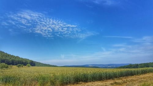 Von Blankenbach über den Engländer zum Ringwall