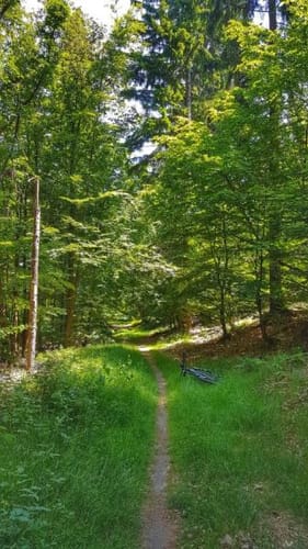 Von Blankenbach über den Engländer zum Ringwall