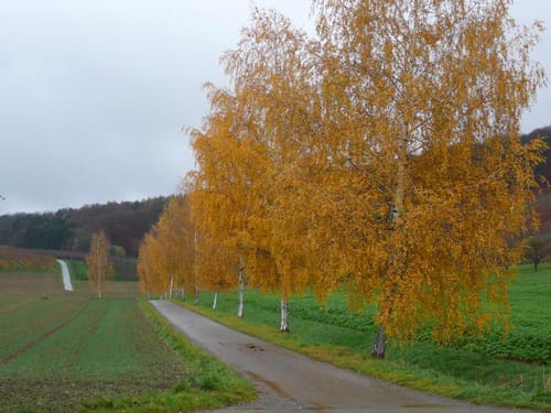 Eberstadt-Klingenhof über Siebeneich