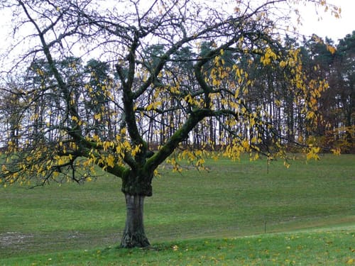 Eberstadt-Klingenhof über Siebeneich