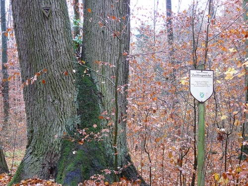 Eberstadt-Klingenhof über Siebeneich