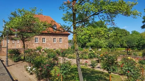 Über Wörth und Klingenberg