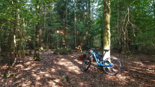 Kreuz und Quer durch den Odenwald