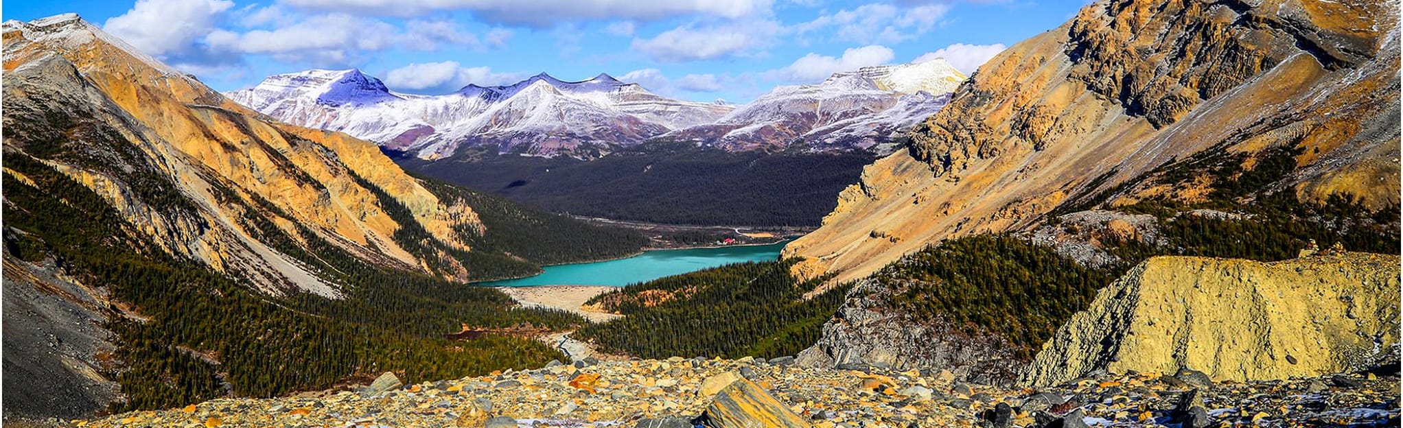 Bow Glacier Falls 1789 Reviews, Map Alberta, Canada AllTrails