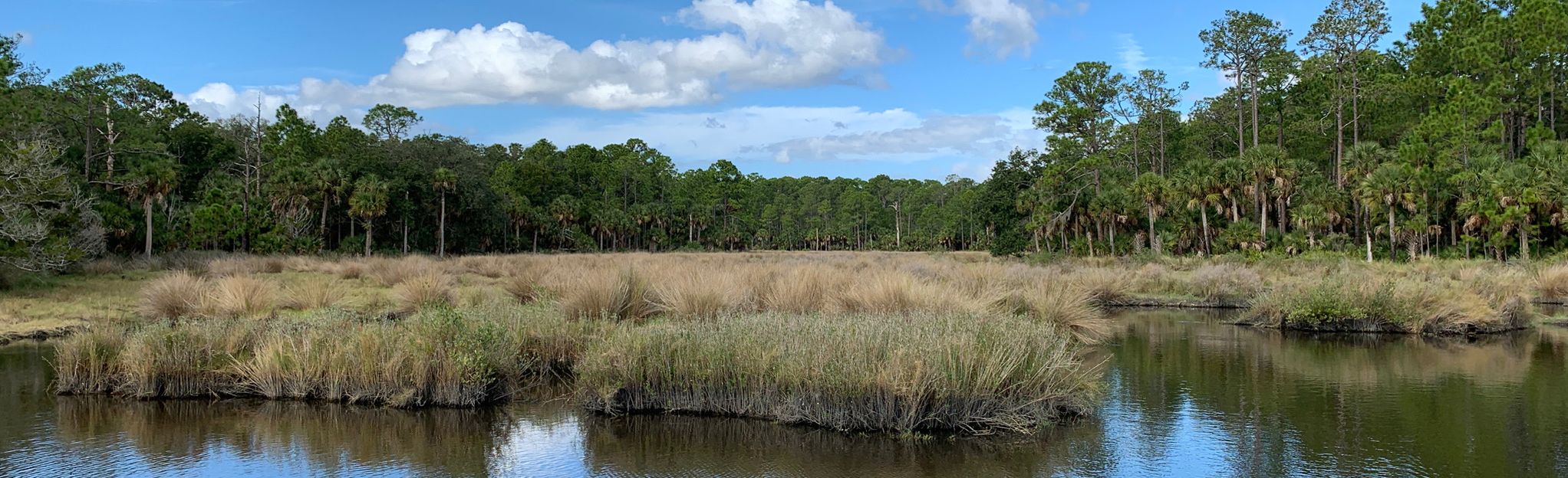 Fairchild Oak Trail Florida AllTrails