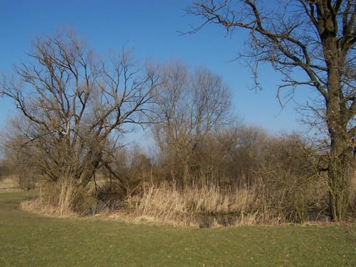 Durchs Paartal ab Schrobenhausen