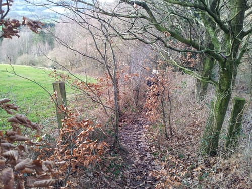 Windrather Tal und Elfringhauser Schweiz