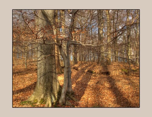 Von Holungen auf den Ohmberg