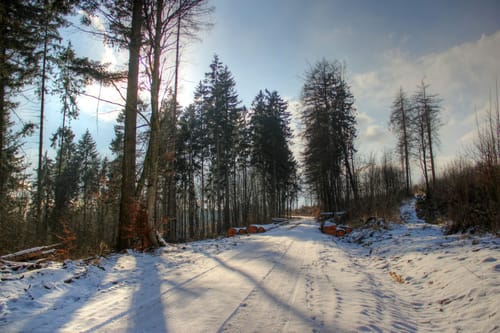 Marke - Kneppelberg