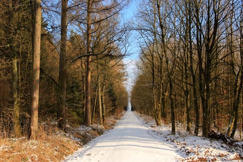 Marke - Kneppelberg