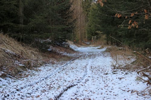 Marke - Kneppelberg