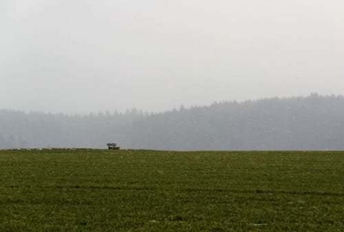 Marke - Kneppelberg