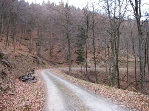 Teufelsberg - Lautenthal