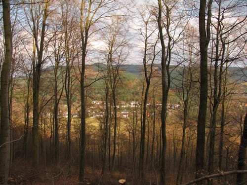 Teufelsberg - Lautenthal