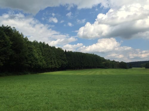 Sankt Anna - Rammingen