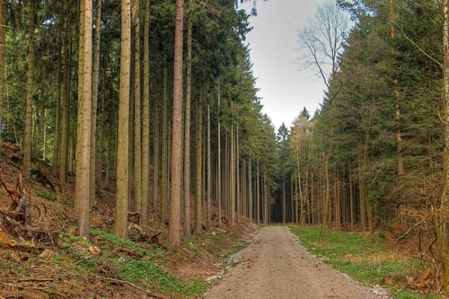 10. Station Steinbruch Ostlutter