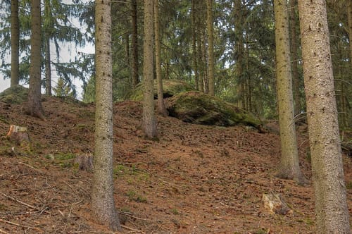 10. Station Steinbruch Ostlutter