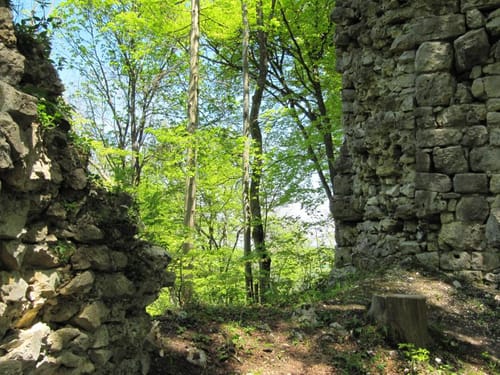 Zwei Lichtensteine bei Neufra
