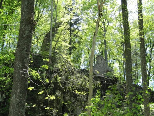 Zwei Lichtensteine bei Neufra