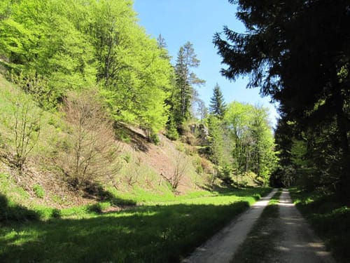 Zwei Lichtensteine bei Neufra