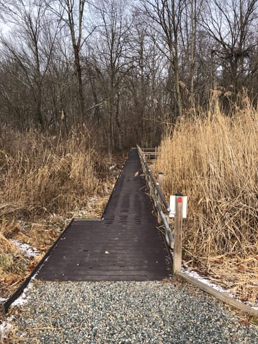 Great Swamp Hiking Trails Best 10 Trails In Great Swamp National Wildlife Refuge | Alltrails