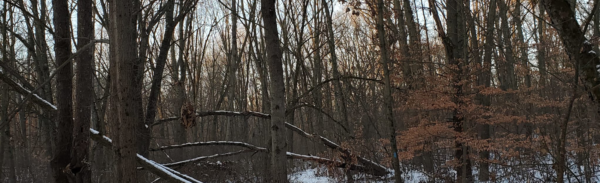 North Country Trail Fort Custer - EyJidWNrZXQiOiJhc3NldHMuYWxsdHJhaWxzLmNvbSIsImtleSI6InVwbG9hZHMvcGhvdG8vaW1hZ2UvMjQ4NzkxMzQvMmU3MDg0YzkxYmI3NzMyNDkzYWIyN2ZhMGYxMTcwN2MuanBnIiwiZWRpdHMiOnsidG9Gb3JtYXQiOiJqcGVnIiwicmVzaXplIjp7IndpZHRoIjoyMDQ0LCJoZWlnaHQiOjYyNCwiZml0IjoiY292ZXIifSwicm90YXRlIjpudWxsLCJqcGVnIjp7InRyZWxsaXNRdWFudGlzYXRpb24iOnRydWUsIm92ZXJzaG9vdERlcmluZ2luZyI6dHJ1ZSwib3B0aW1pc2VTY2FucyI6dHJ1ZSwicXVhbnRpc2F0aW9uVGFibGUiOjN9fX0=